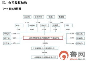 青島展望科技沖刺新三板 信息系統集成服務發力，年利潤躍升百萬實現扭虧為盈